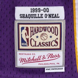 00-hardwood-classics-swingman-SMJYGS18447-LALPURP99SON-2